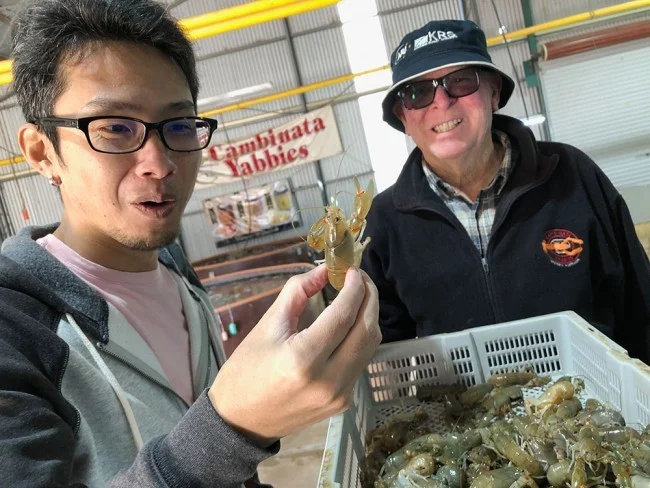 [野生のカンガルーがいる世界一のビーチを目指して！西オーストラリア・ロングドライブ旅行記53] Cambinata Yabbiesのヤビー工場に行ってみよう！