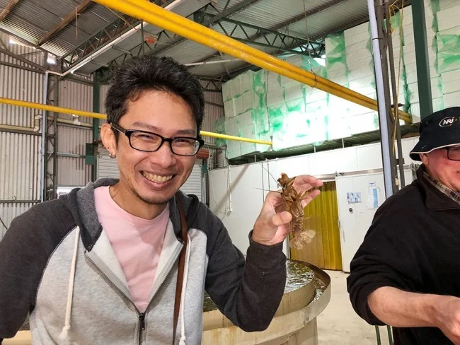 [野生のカンガルーがいる世界一のビーチを目指して！西オーストラリア・ロングドライブ旅行記53] Cambinata Yabbiesのヤビー工場に行ってみよう！