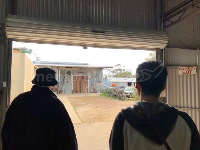 [野生のカンガルーがいる世界一のビーチを目指して！西オーストラリア・ロングドライブ旅行記53] Cambinata Yabbiesのヤビー工場に行ってみよう！