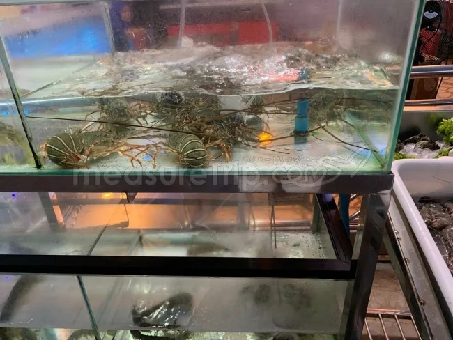 ロイヤルカリビアン 東南アジアクルーズの寄港地プーケットでカードは使える？