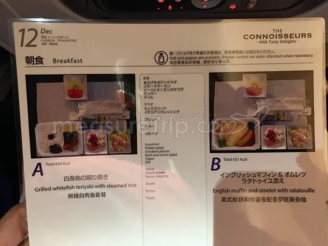 [ボイジャー・オブ・ザ・シーズで行く東南アジア・クルーズ旅行記11] 実はANAさんの中距離以上の国際線って7、8年ぶりだったりする（笑）