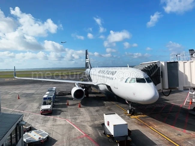 ニュージーランド航空 国内線 A320 エコノミークラス オークランド⇔クライストチャーチ / 搭乗記