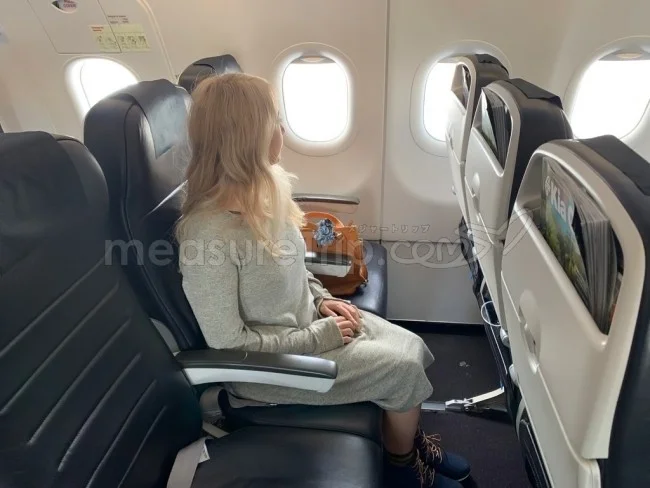 ニュージーランド航空 国内線 A320 エコノミークラス オークランド⇔クライストチャーチ / 搭乗記