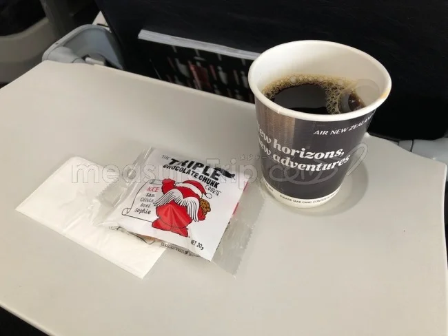 ニュージーランド航空 国内線 A320 エコノミークラス オークランド⇔クライストチャーチ / 搭乗記