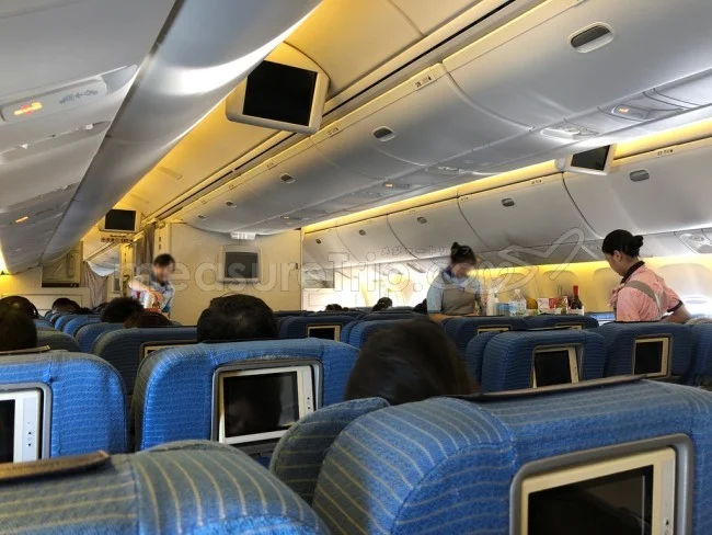ANA国際線 B763 エコノミークラス 上海⇔成田 / 搭乗記