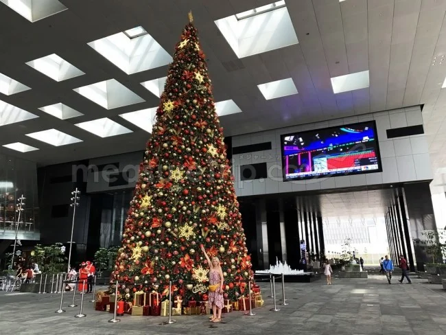 [ボイジャー・オブ・ザ・シーズで行く東南アジア・クルーズ旅行記70] Westin Singapore（ウェスティンシンガポール）に到着！でもチェックインはまだしない。