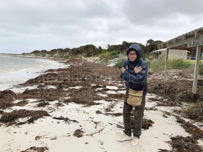 [野生のカンガルーがいる世界一のビーチを目指して！西オーストラリア・ロングドライブ旅行記68] HOPETOUN（ホープタウン）の海をもう一度