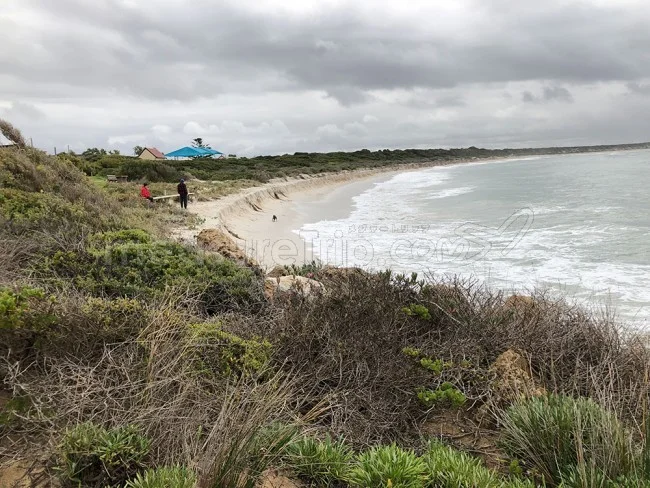 [野生のカンガルーがいる世界一のビーチを目指して！西オーストラリア・ロングドライブ旅行記68] HOPETOUN（ホープタウン）の海をもう一度