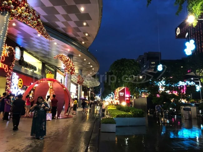 [ボイジャー・オブ・ザ・シーズで行く東南アジア・クルーズ旅行記82] 雨のシンガポール・クリスマスを後にして。