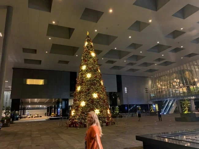 [ボイジャー・オブ・ザ・シーズで行く東南アジア・クルーズ旅行記82] 雨のシンガポール・クリスマスを後にして。