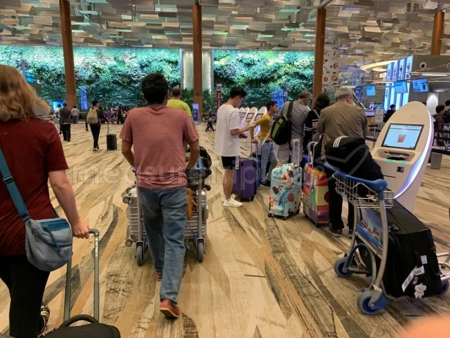 [ボイジャー・オブ・ザ・シーズで行く東南アジア・クルーズ旅行記89] シンガポール・チャンギ国際空港にて。セルフチェックインとペラペラの搭乗券。
