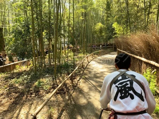 【嵐山に建つ超高級ホテル】翠嵐（すいらん）ラグジュアリーコレクション ホテル 京都 / マリオットホテル【宿泊記 滞在記 口コミ レビュー】