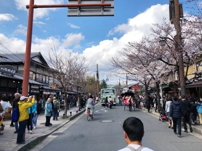 えびす屋さんの人力車で京都・嵐山観光＆京都の四季を満喫！【京都観光】