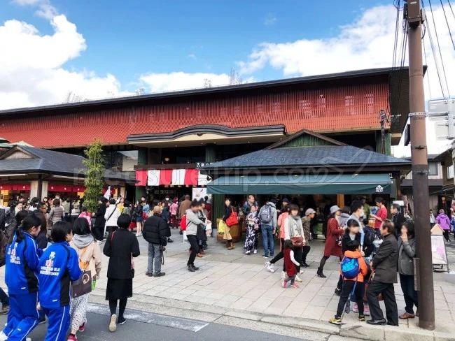えびす屋さんの人力車で京都・嵐山観光＆京都の四季を満喫！【京都観光】