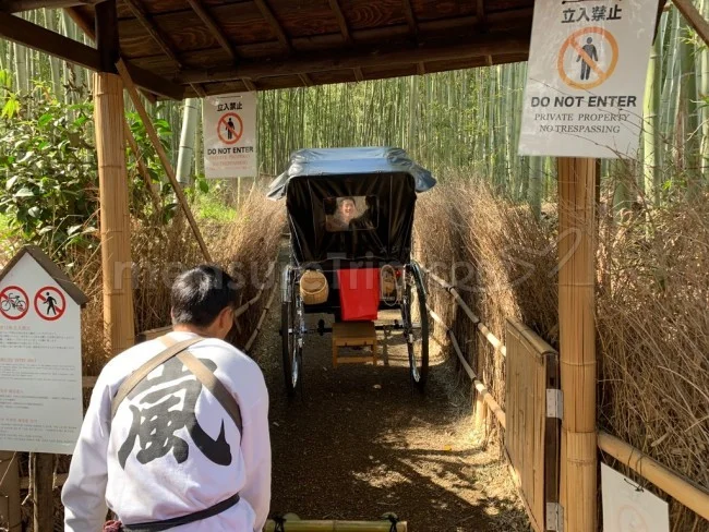 えびす屋さんの人力車で京都・嵐山観光＆京都の四季を満喫！【京都観光】
