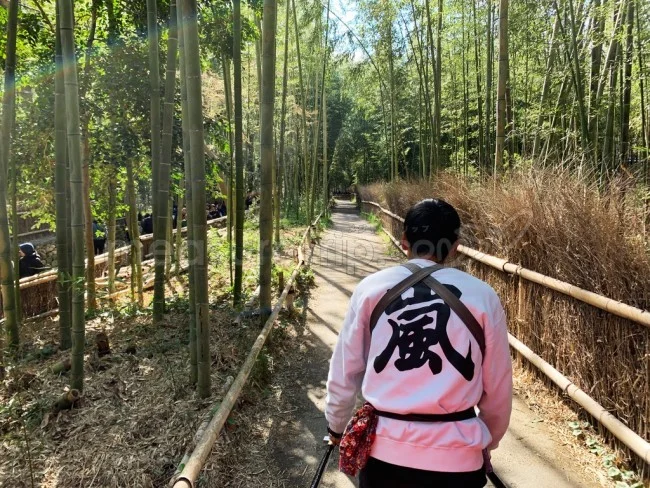 えびす屋さんの人力車で京都・嵐山観光＆京都の四季を満喫！【京都観光】