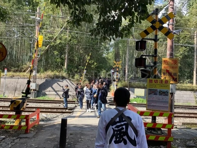 えびす屋さんの人力車で京都・嵐山観光＆京都の四季を満喫！【京都観光】