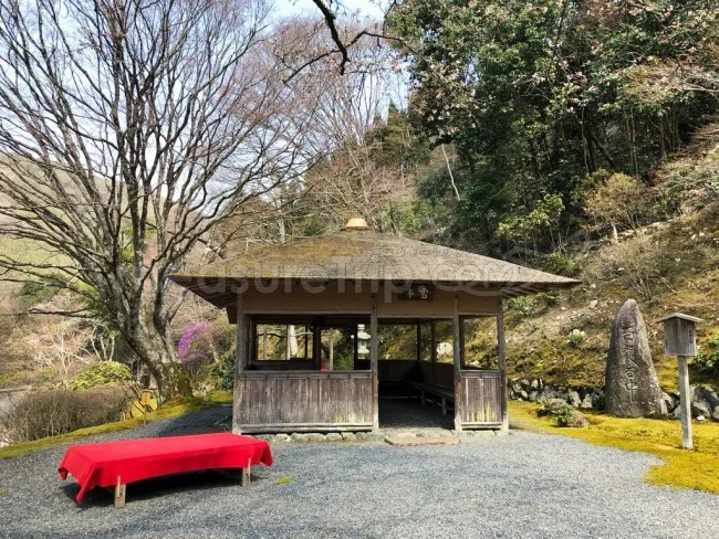 入場一日100人限定！超レアな「白龍園」一般公開【京都観光】