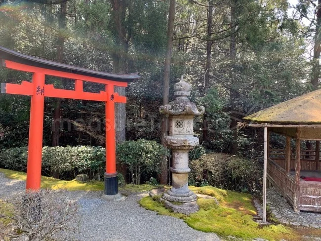 入場一日100人限定！超レアな「白龍園」一般公開【京都観光】