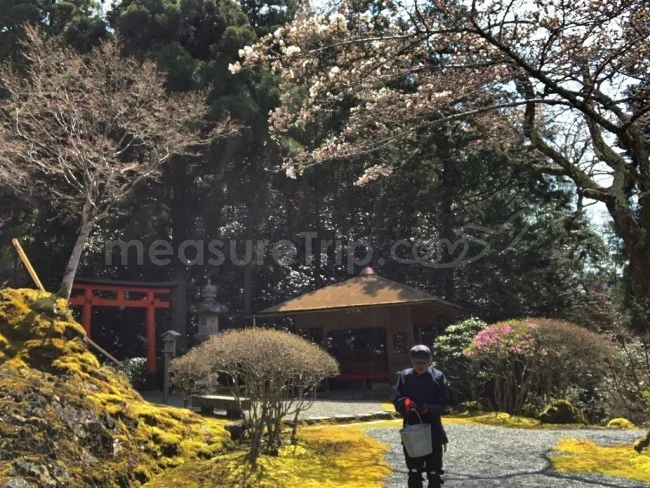 入場一日100人限定！超レアな「白龍園」一般公開【京都観光】