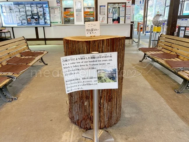 叡山電鉄で京都の鞍馬・貴船・洛北観光へ！京都市内からは何分？【京都観光】