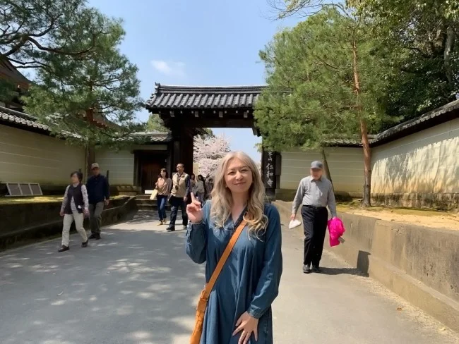 【京都 世界遺産】世界遺産「仁和寺」の桜・お花見【京都観光】