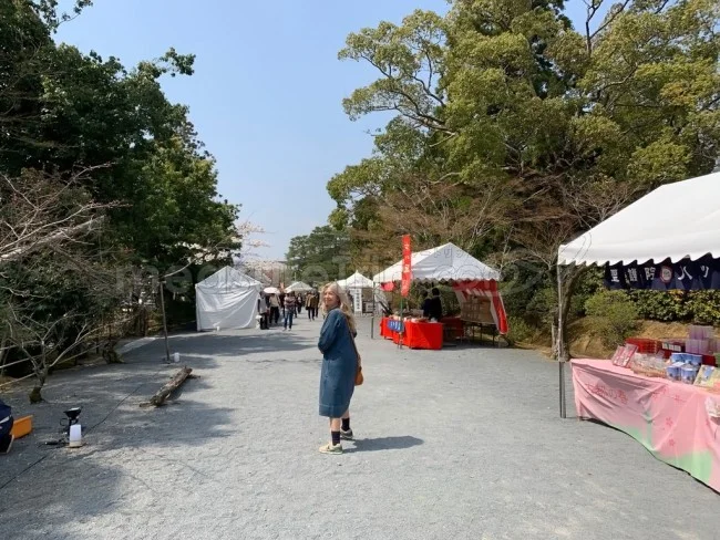 【京都 世界遺産】世界遺産「仁和寺」の桜・お花見【京都観光】