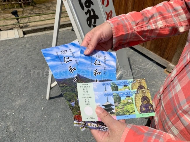 【京都 世界遺産】世界遺産「仁和寺」の桜・お花見【京都観光】