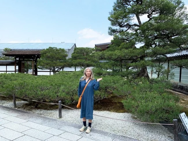【京都 世界遺産】世界遺産「仁和寺」の桜・お花見【京都観光】