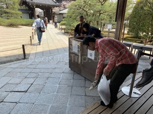 【京都 世界遺産】世界遺産「仁和寺」の桜・お花見【京都観光】