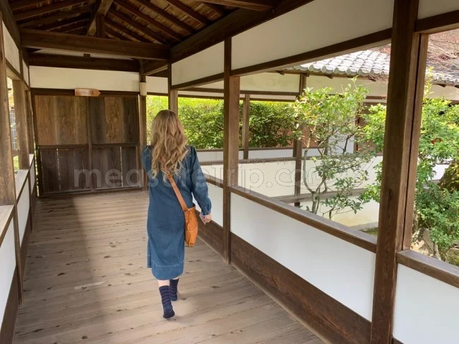 【京都 世界遺産】世界遺産「仁和寺」の桜・お花見【京都観光】