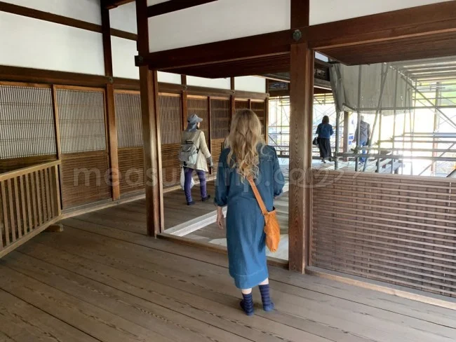 【京都 世界遺産】世界遺産「仁和寺」の桜・お花見【京都観光】