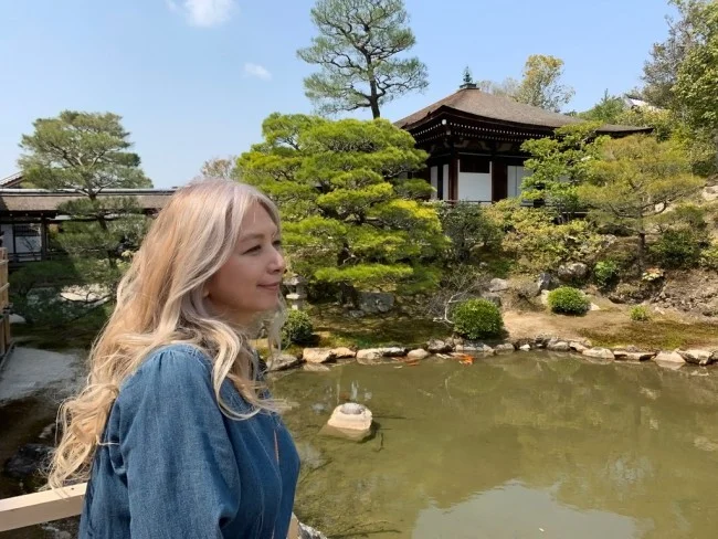 【京都 世界遺産】世界遺産「仁和寺」の桜・お花見【京都観光】