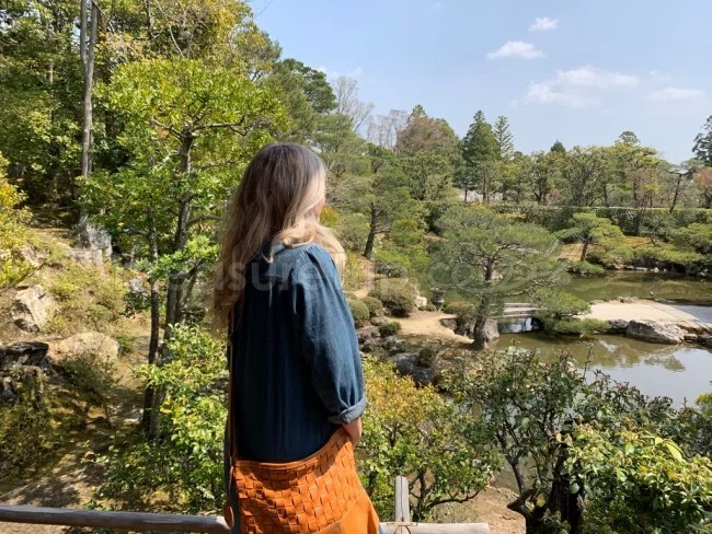 【京都 世界遺産】世界遺産「仁和寺」の桜・お花見【京都観光】