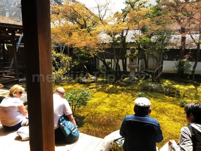【京都 世界遺産】世界遺産「仁和寺」の桜・お花見【京都観光】