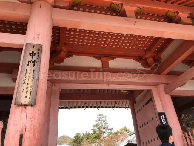 【京都 世界遺産】世界遺産「仁和寺」の桜・お花見【京都観光】