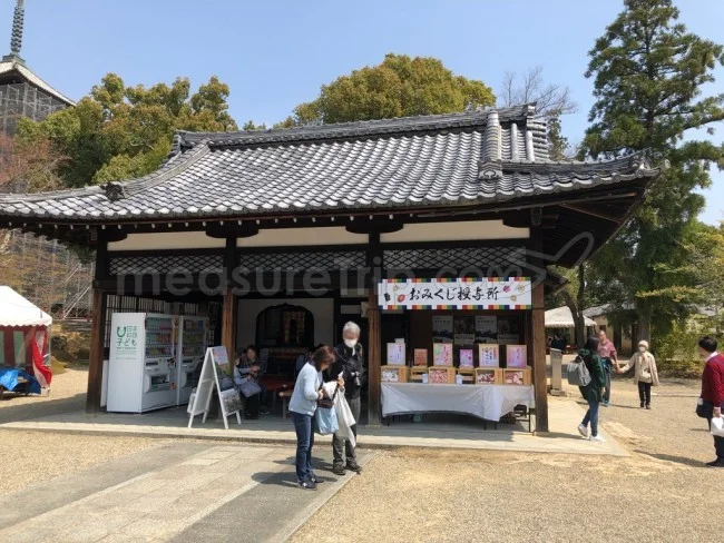 【京都 世界遺産】世界遺産「仁和寺」の桜・お花見【京都観光】