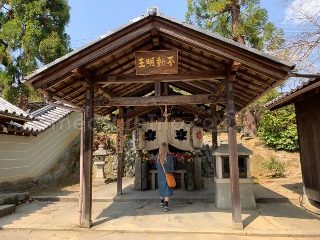 【京都 世界遺産】世界遺産「仁和寺」の桜・お花見【京都観光】