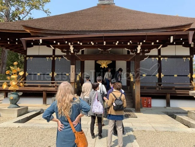 【京都 世界遺産】世界遺産「仁和寺」の桜・お花見【京都観光】
