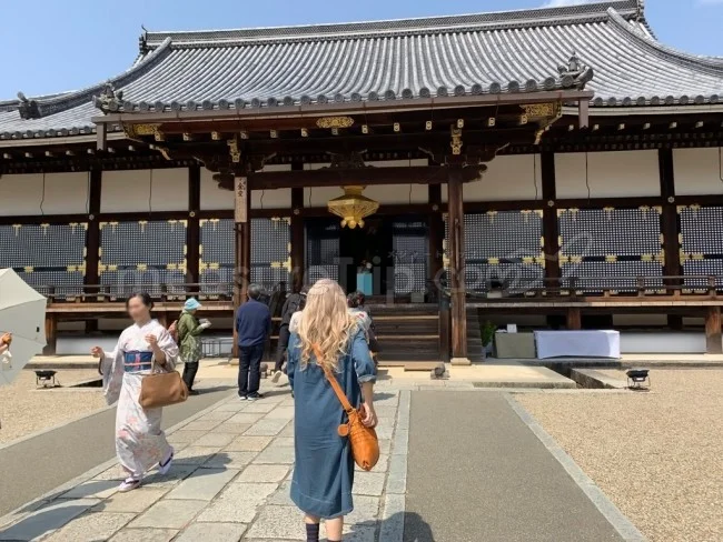 【京都 世界遺産】世界遺産「仁和寺」の桜・お花見【京都観光】