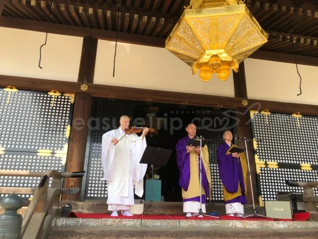 【京都 世界遺産】世界遺産「仁和寺」の桜・お花見【京都観光】