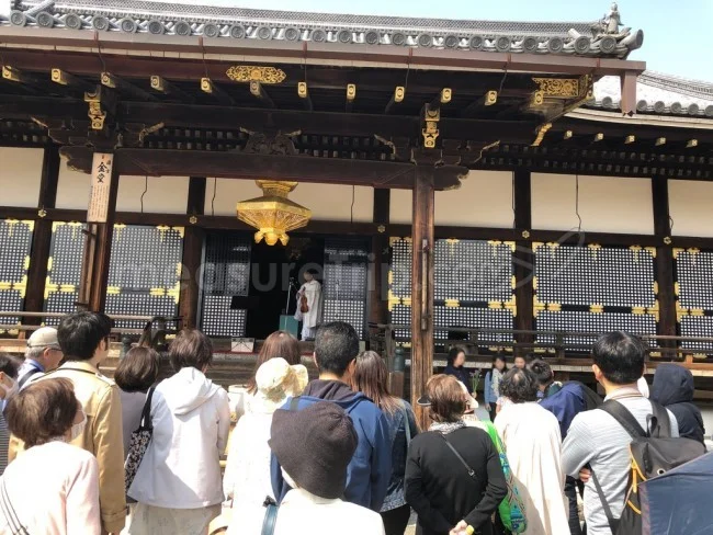 【京都 世界遺産】世界遺産「仁和寺」の桜・お花見【京都観光】