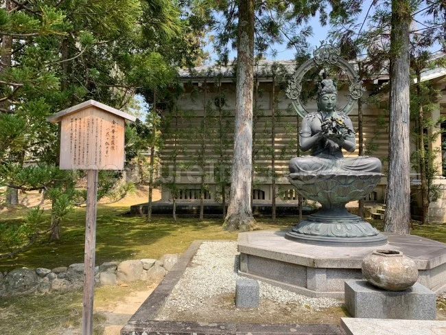 【京都 世界遺産】世界遺産「仁和寺」の桜・お花見【京都観光】