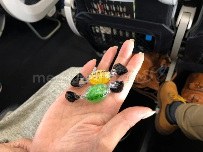 [年末年始のニュージーランド・テカポ湖に世界一の星空を見に行く旅行記17] ニュージーランド航空さんの国内線に初搭乗！