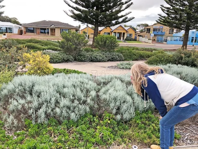 西オーストラリア ラッキーベイ・ビーチのコスパ最高なホテル「ESPERANCE BEACHFRONT RESORT」