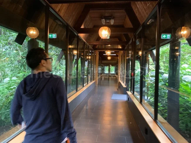 [年末年始のニュージーランド・テカポ湖に世界一の星空を見に行く旅行記27] 今日の食事はスーパーのサラダと手羽先よー♪