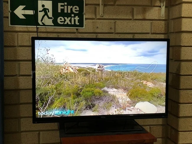 [野生のカンガルーがいる世界一のビーチを目指して！西オーストラリア・ロングドライブ旅行記80] チャンネル7でワイルドフラワーショーがはじまった！