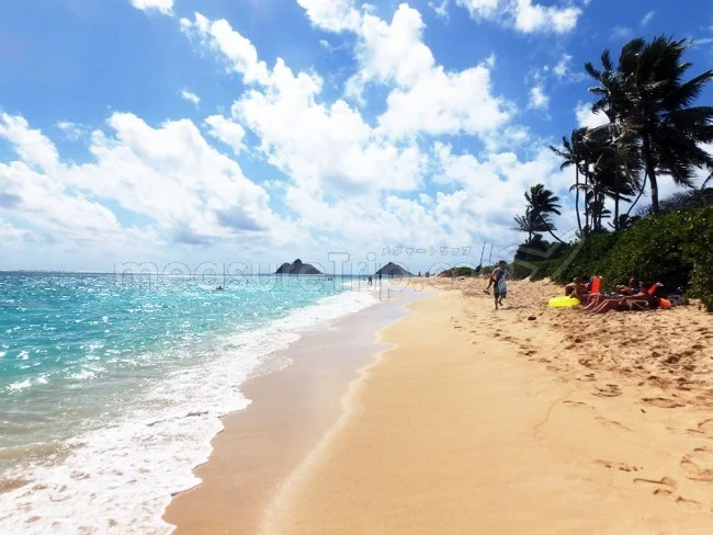 3泊5日は安いけど…ハワイ旅行のプランはどの日程が一番おすすめ？