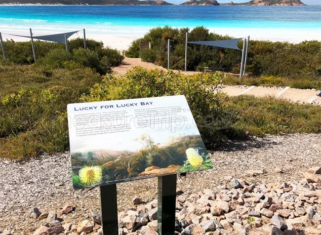 [野生のカンガルーがいる世界一のビーチを目指して！西オーストラリア・ロングドライブ旅行記85] 世界一美しいビーチと言われる【ラッキーベイ・ビーチ】に到着！