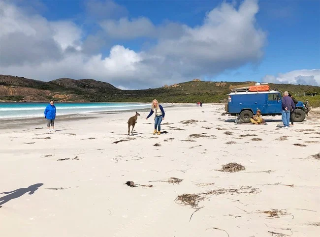 [野生のカンガルーがいる世界一のビーチを目指して！西オーストラリア・ロングドライブ旅行記86] え？本当に？カンガルーが私に向かって走ってきた！アンビリーバボー！